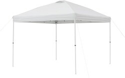 10x10 White Canopy