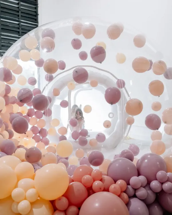 Bubble house rental