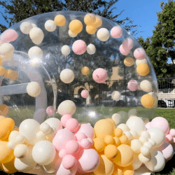 Bubble house(CURRENTLY UNAVAILABLE)